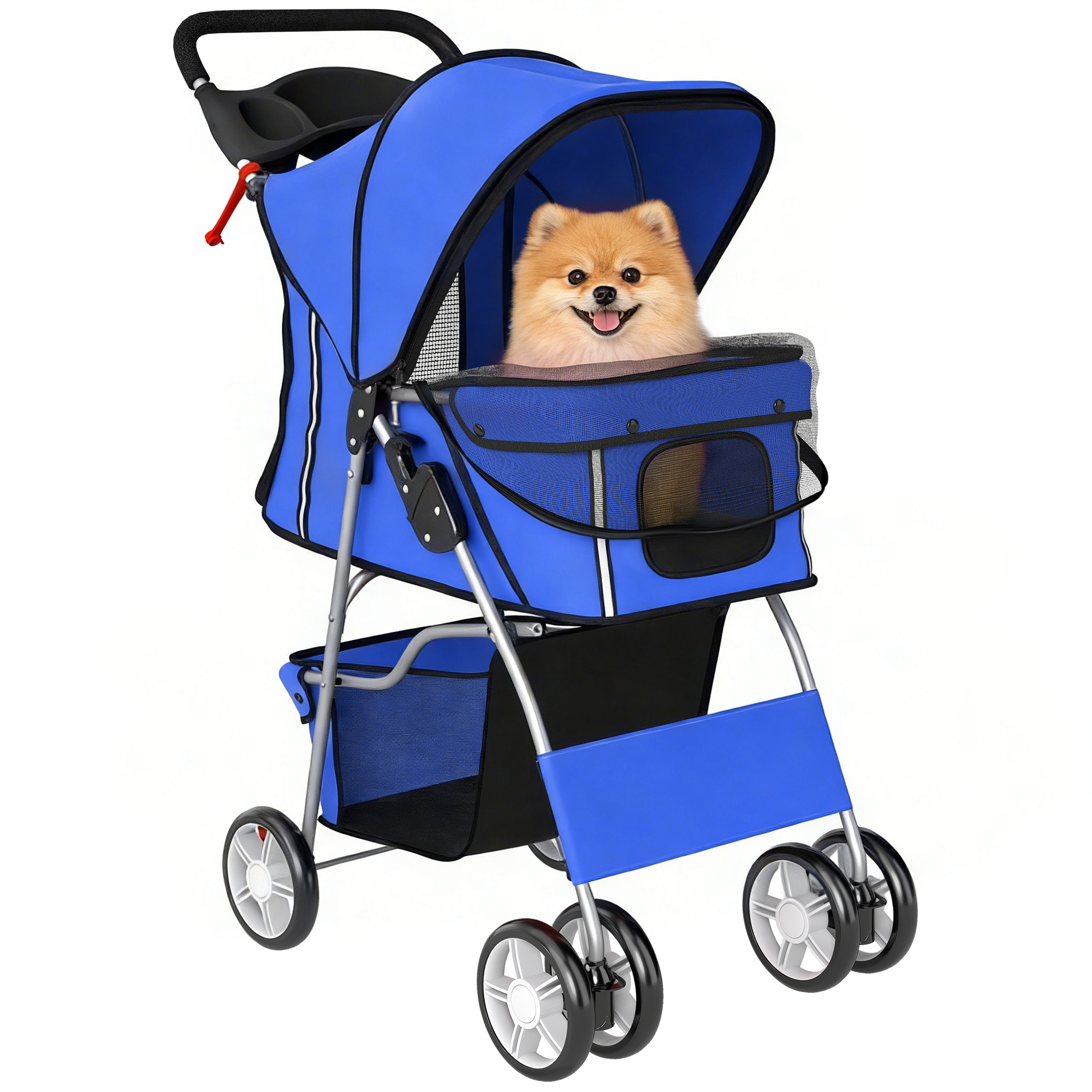 Un Pomerania siede in un passeggino blu per animali domestici su sfondo bianco.