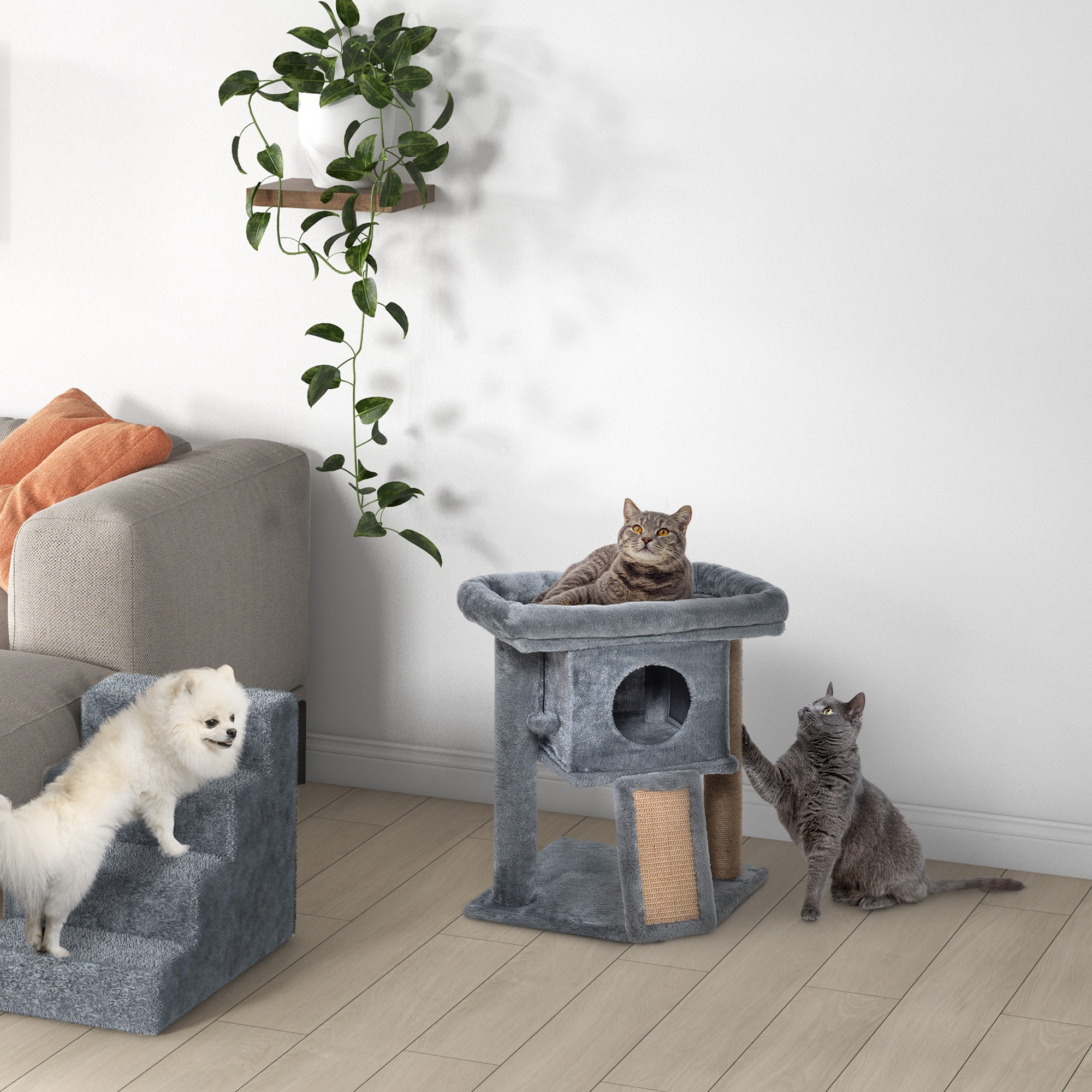 Un cane bianco sale gradini grigie, un gatto tigrato riposa su un albero, un gatto grigio lo graffia.