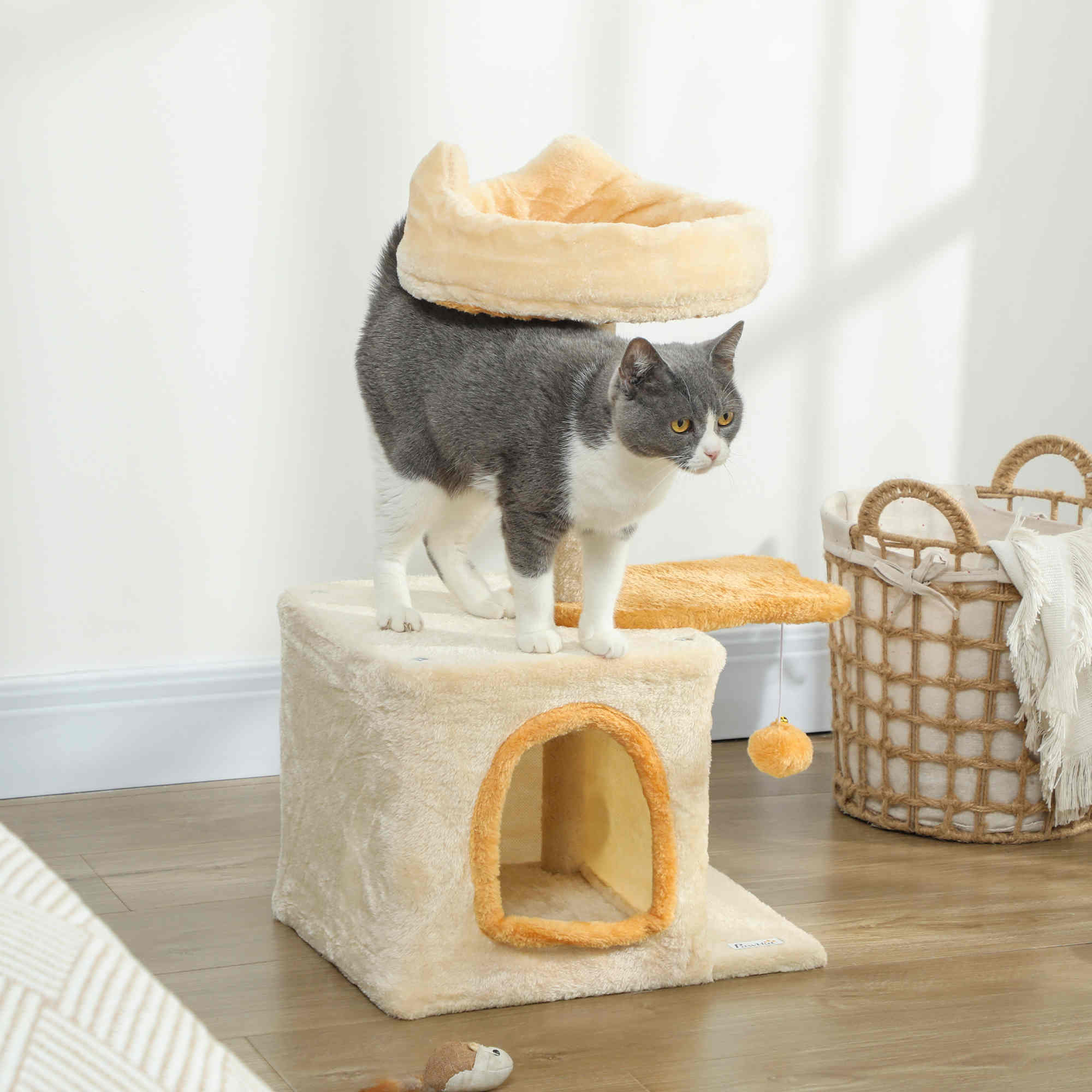 Un gatto grigio e bianco si trova su un tiragraffi con cuccia sospesa e giocattolo.