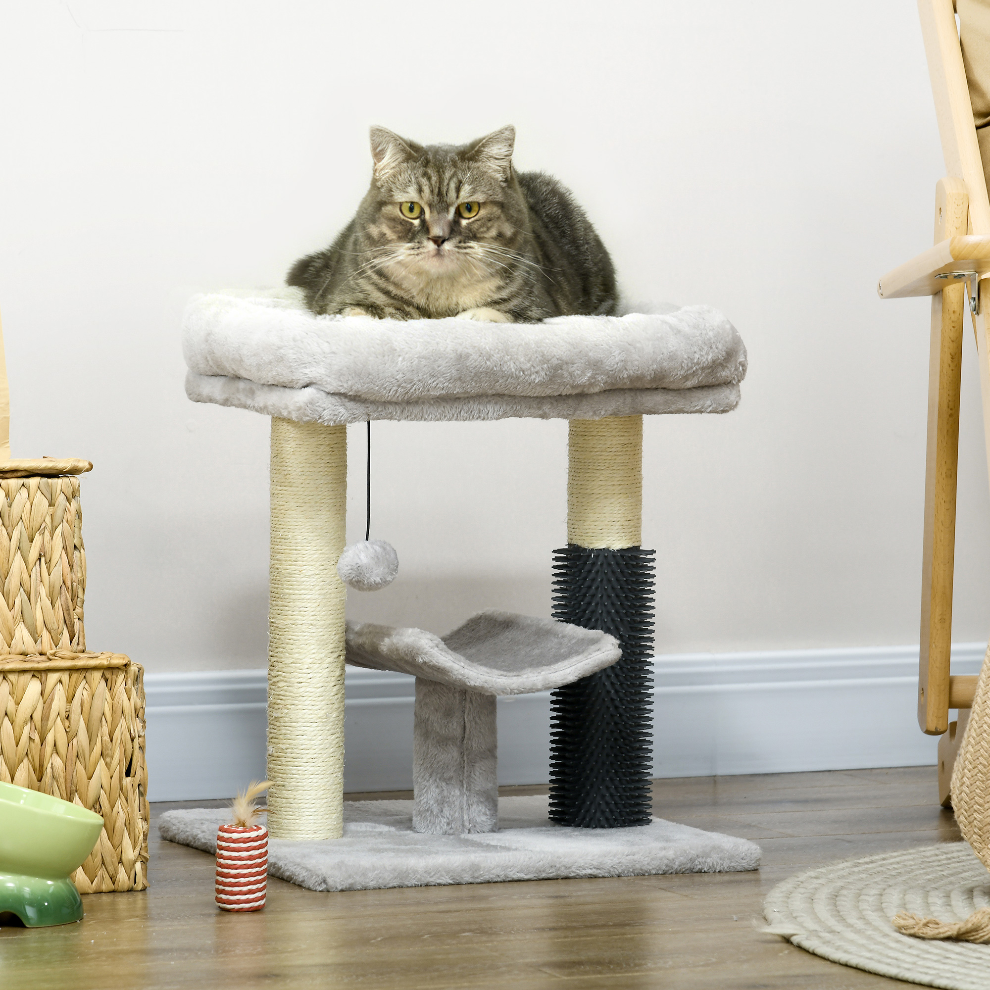 Un gatto soriano seduto su un tiragraffi di peluche. Accanto c'è un cesto di vimini.