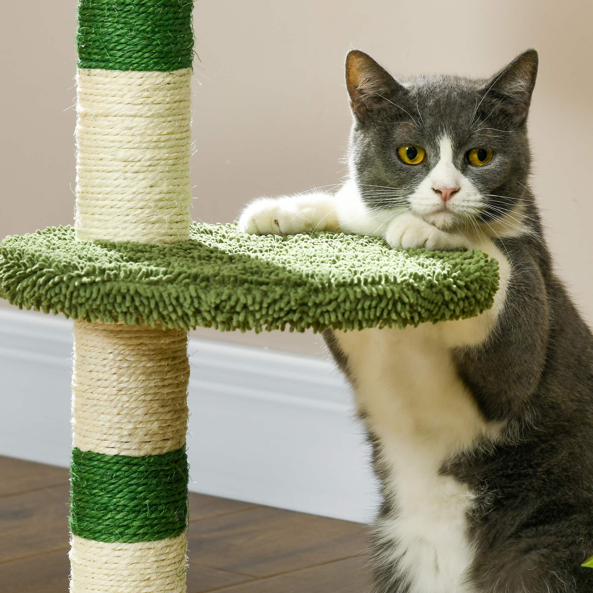 Un gatto grigio e bianco si appoggia su un tiragraffi con corde verdi e color crema.