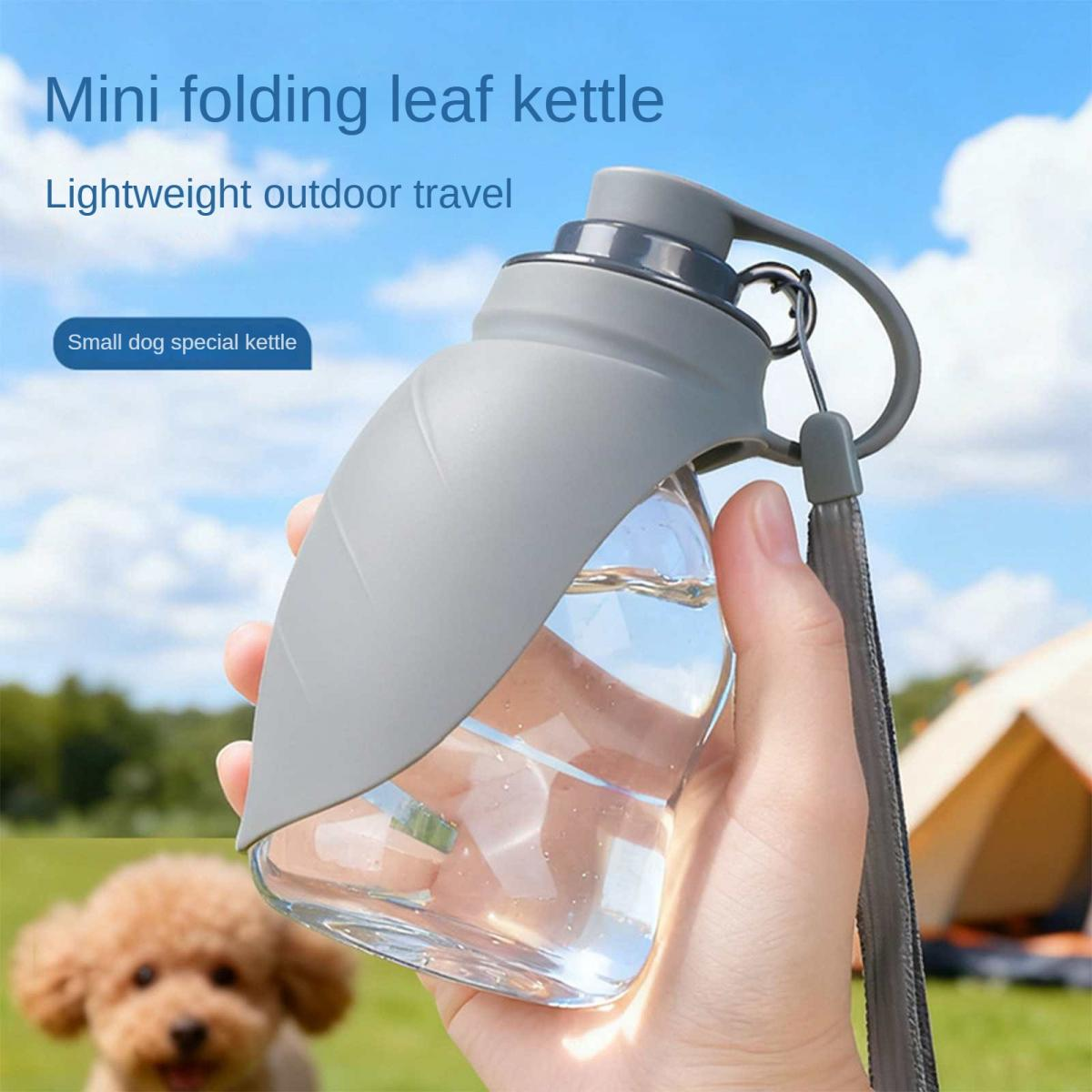 Hand hält eine graue blattförmige Hundetrinkflasche im Freien. Ein Pudel ist im Vordergrund unscharf.