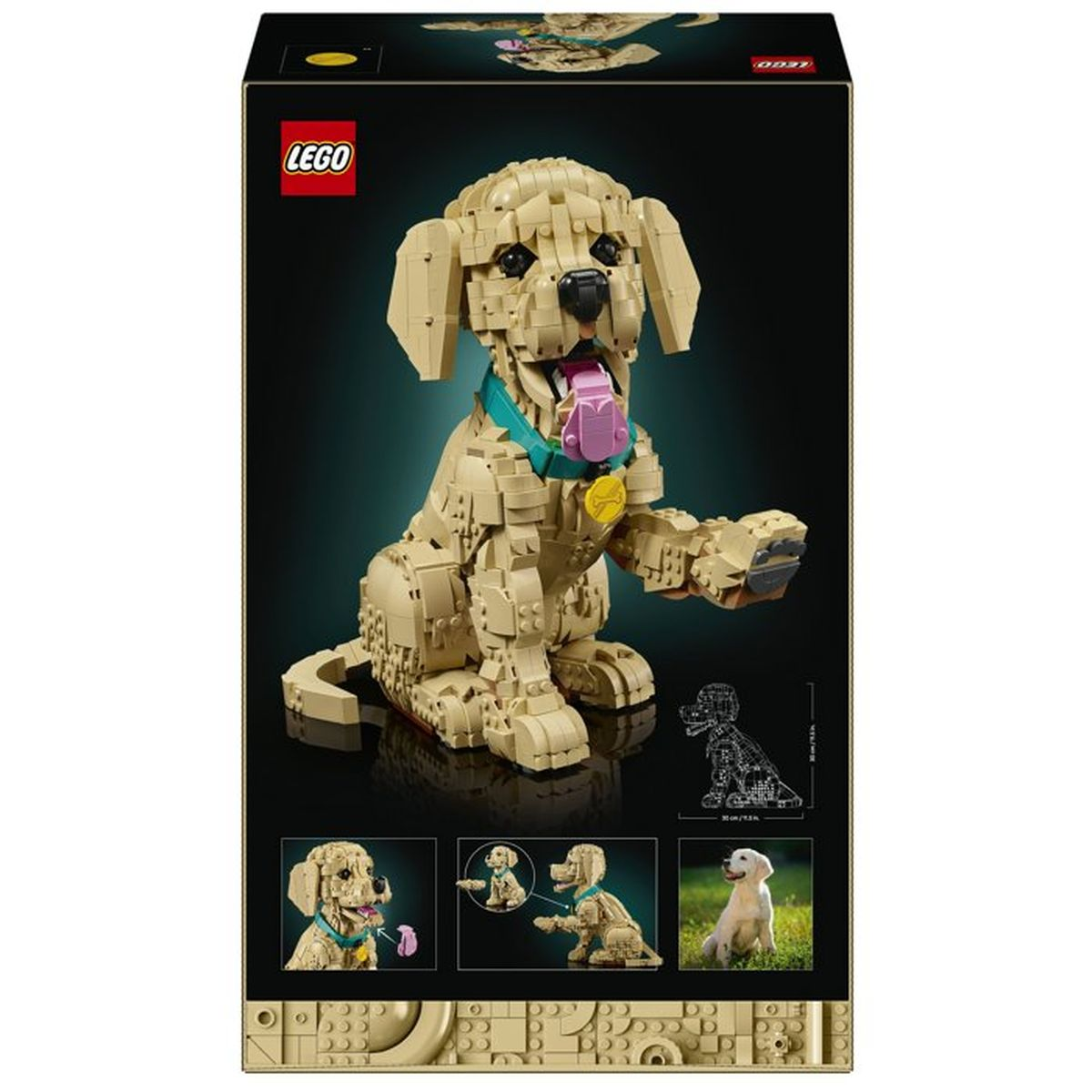 Model golden retrievera Lego z otwartym pyskiem i niebieską obrożą na ciemnym tle.