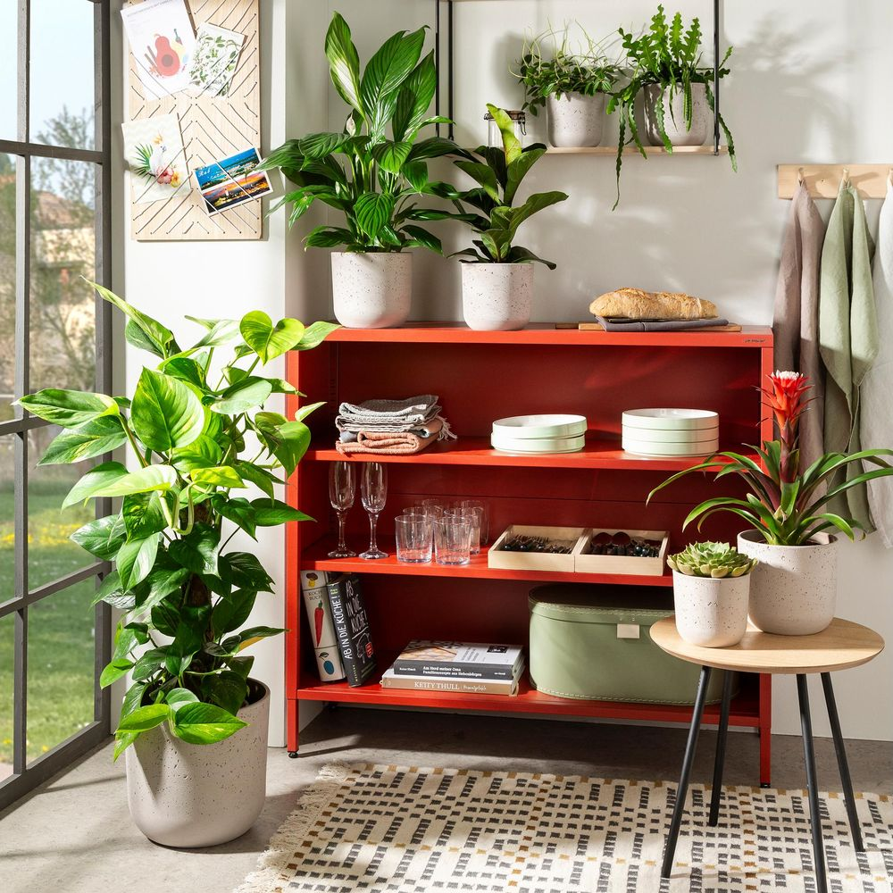 Ein rotes Regal mit Pflanzen, Geschirr und Büchern. Daneben ein Fenster und ein Beistelltisch.
