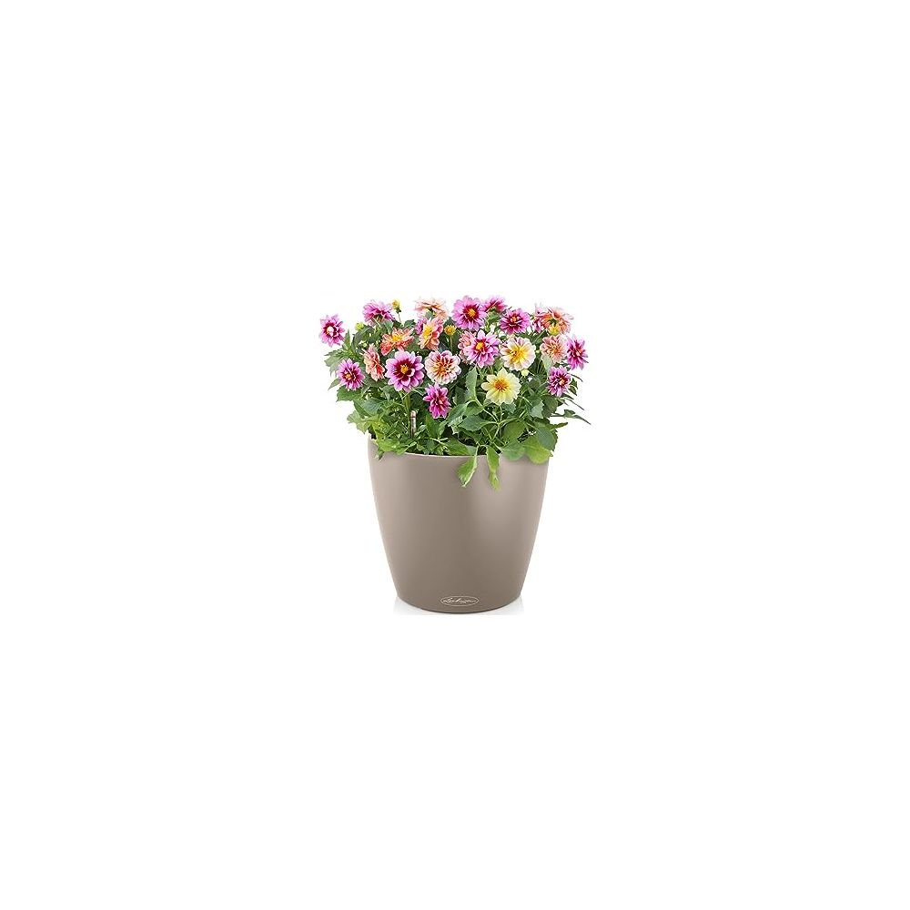 Ein grauer Topf mit bunten Blumen in Rosa-, Gelb- und Rottönen.