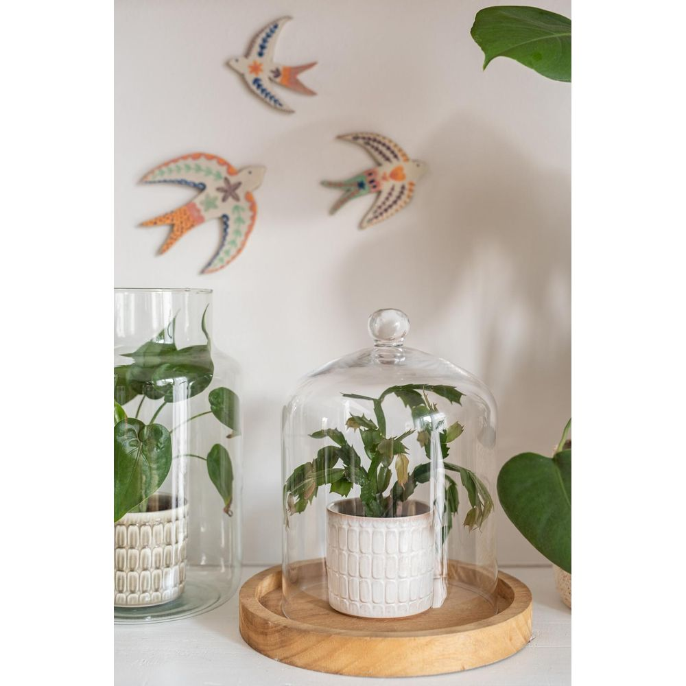 Drei bunte Vogeldekorationen an einer weißen Wand über zwei Topfpflanzen in Glasbehältern.