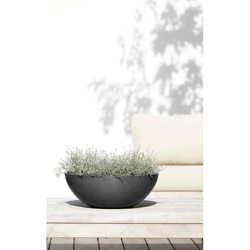 Une jardinière noire avec des plantes grises sur une table en bois.