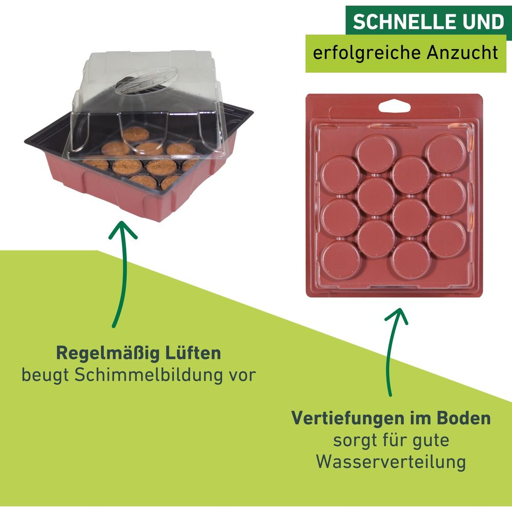 Zwei Anzuchtschalen: eine mit Haube und Samen, eine leer.