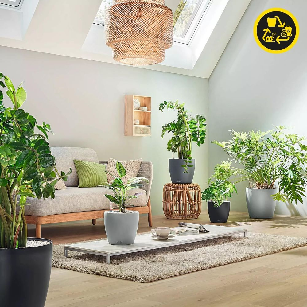 Ein helles Wohnzimmer mit Sofa, Couchtisch, Teppich und vielen Pflanzen.