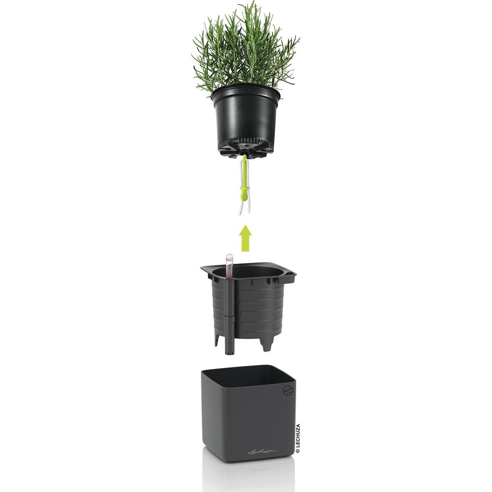 Ein Topf mit grüner Pflanze, darunter ein Einsatz mit Wasserstandsanzeiger und ein Übertopf.