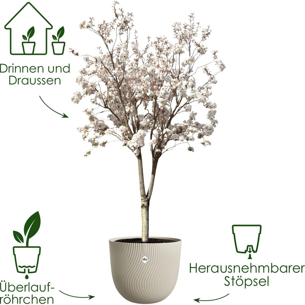 Ein blühender Baum in einem beigen Topf mit Text, der die Innen-/Außennutzung angibt.
