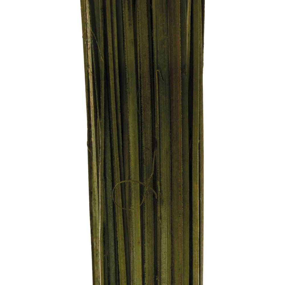 Mazzo di steli d'erba verdi, allineati verticalmente, con fibre sottili.