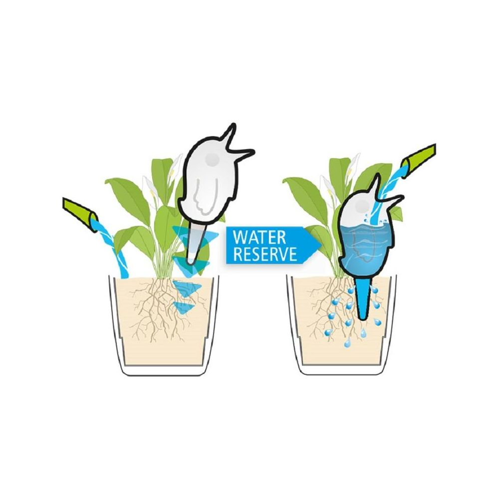 Zwei Pflanzen mit Wasserspeichern: links trocken, rechts mit Wasser gefüllt.