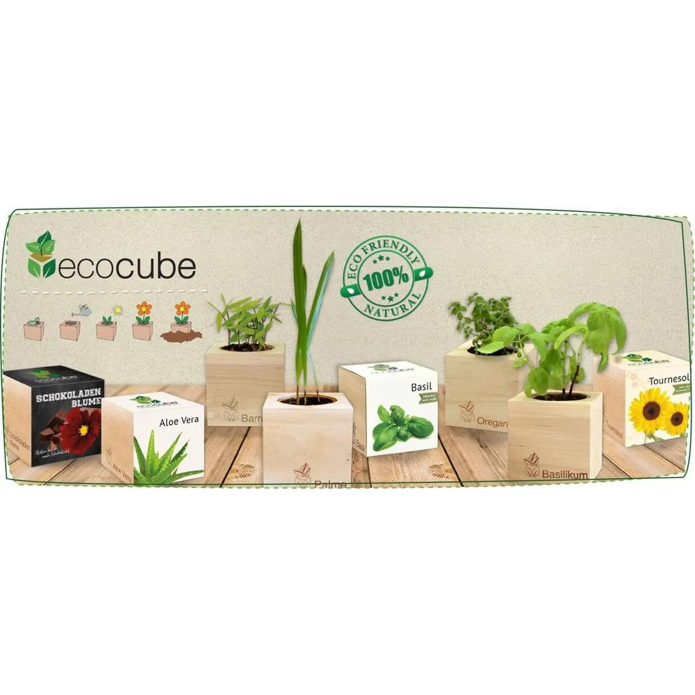 Mehrere Ecocubes mit Pflanzen und Beschriftungen auf Holzhintergrund.