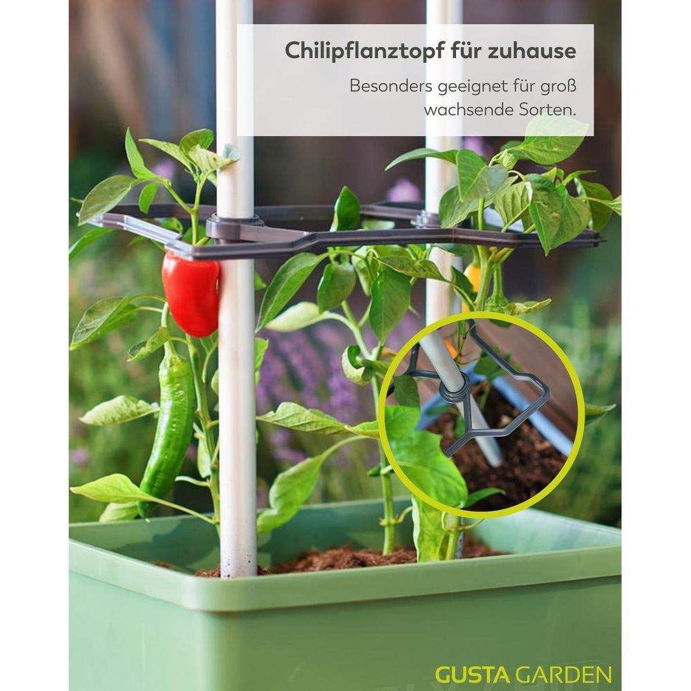 Ein grüner Pflanztopf mit einer Chilipflanze und roten und grünen Chilis.