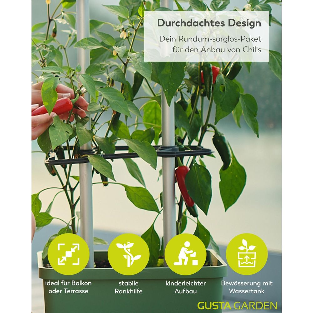 Chilipflanze in einem grünen Behälter mit Icons für Balkon, Rankhilfe, Aufbau, Bewässerung.