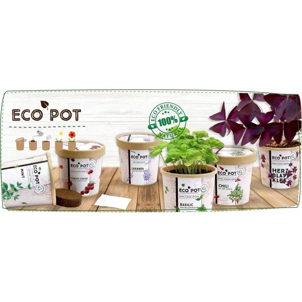 Molteplici vasi Eco Pot con kit di semi di erbe su un tavolo di legno.