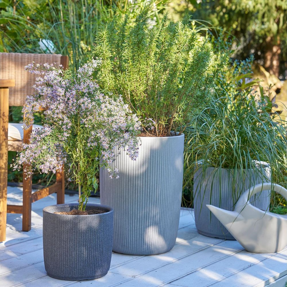 Trois jardinières grises avec des plantes sur une terrasse en bois, chaise à gauche.