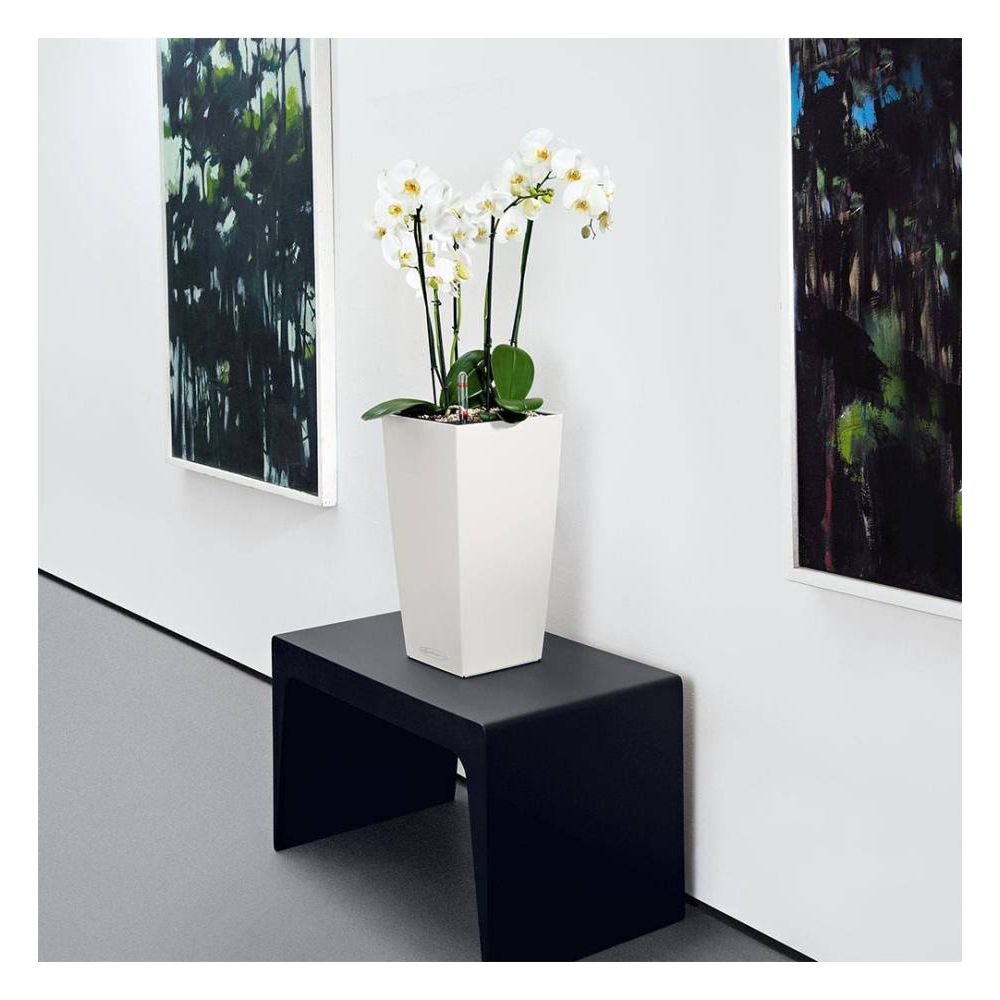 Weiße Orchideen in einem weißen Topf auf einem schwarzen Tisch, neben Gemälden.