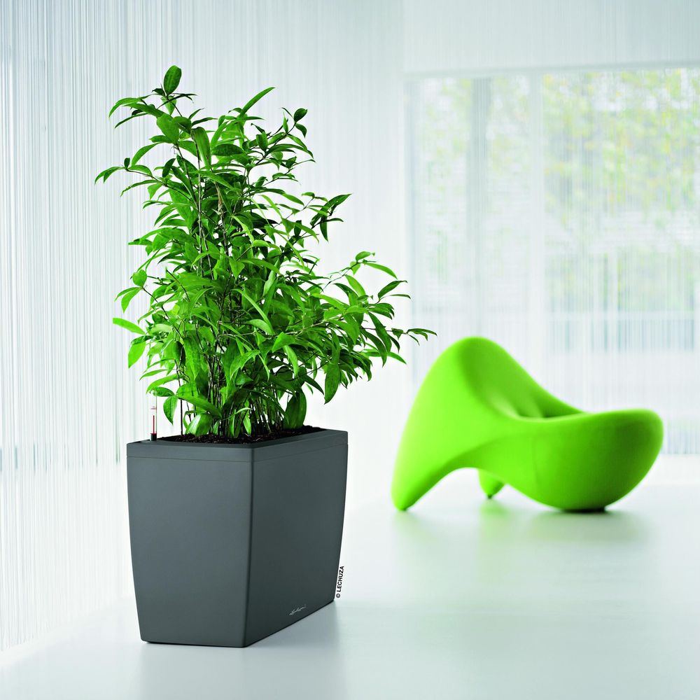 Une plante verte dans un pot gris se trouve à côté d'une chaise vert vif.