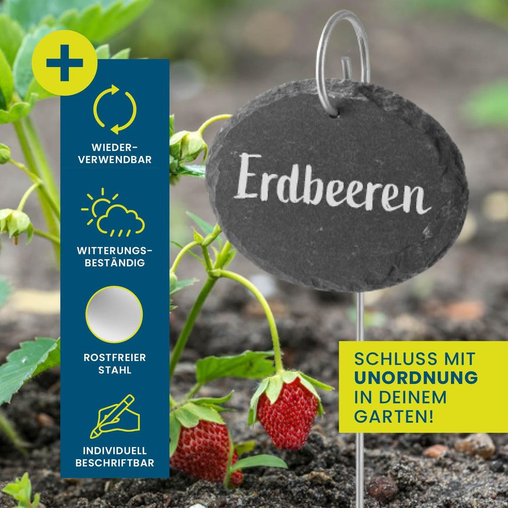 Ein Erdbeerpflanze mit einem runden Schild, auf dem 'Erdbeeren' steht.