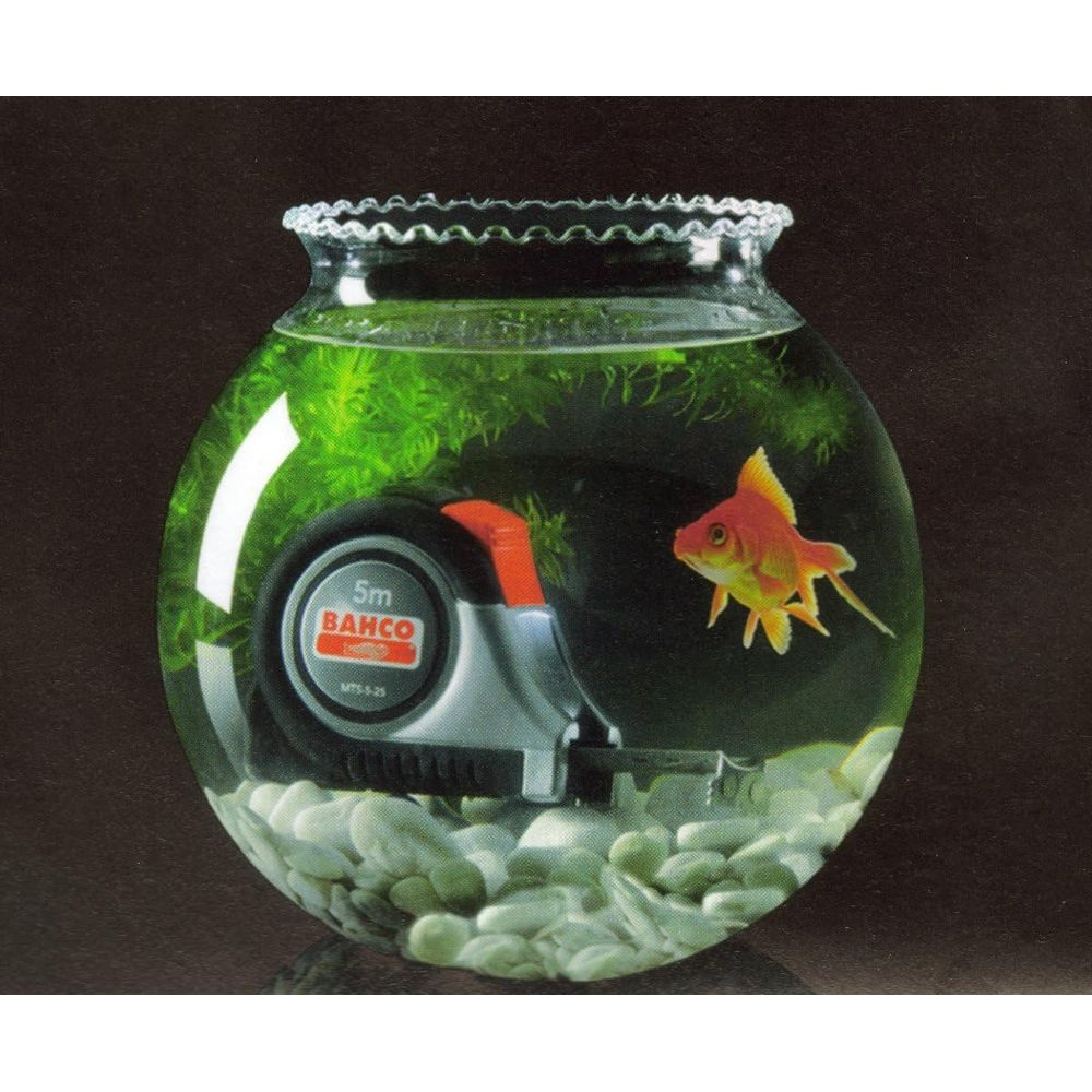 Un pesce rosso nuota in una boccia rotonda con metro e piante.
