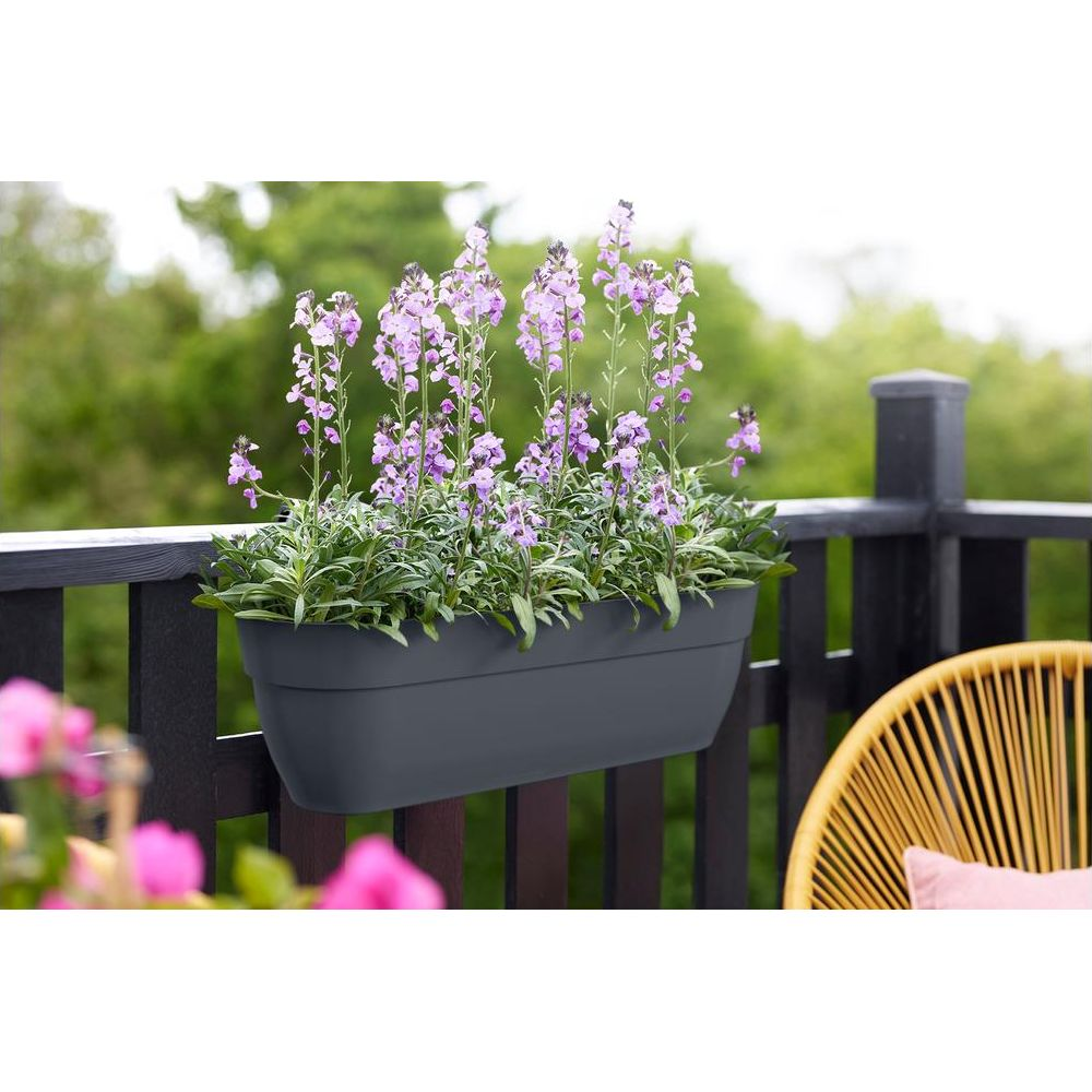 Una fioriera scura con fiori viola, fissata a una ringhiera del balcone.