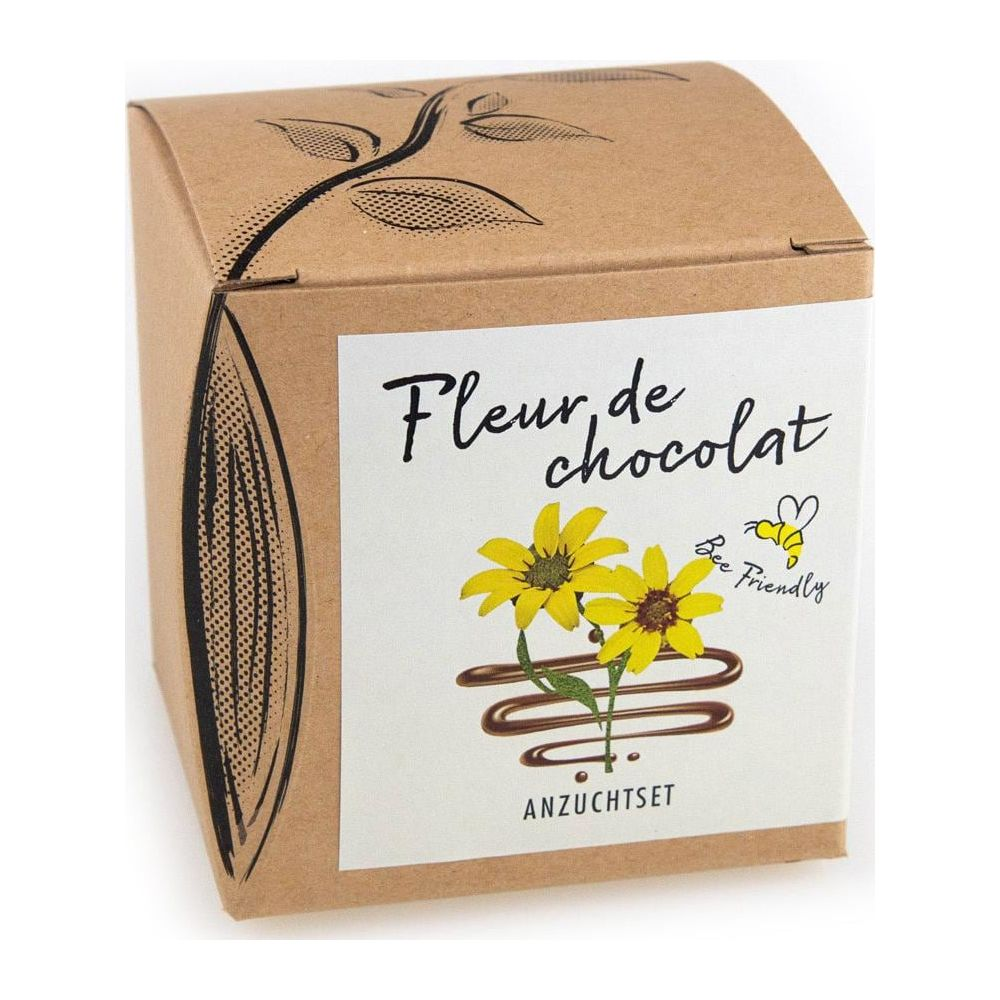 Ein Pappkarton mit Blumenmotiv und der Aufschrift "Fleur de chocolat".