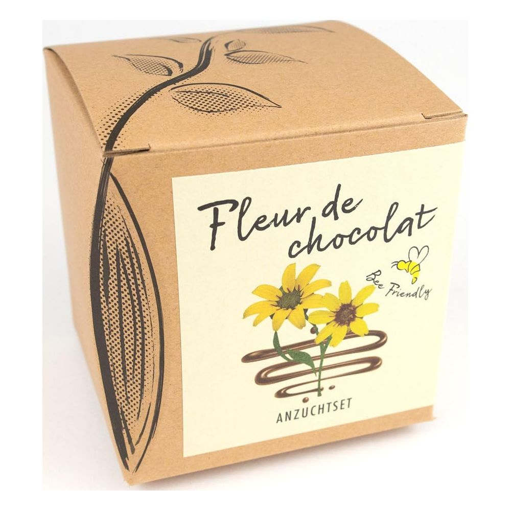 Braune Pappschachtel mit „Fleur de chocolat“ Aufschrift, gelben Blumen und Schokospritzern.