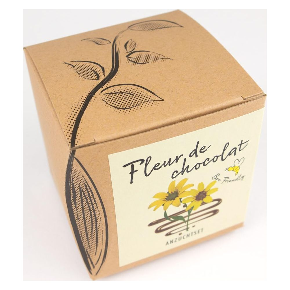 Braune Pappbox mit Blumen- und Bienenmotiv. "Fleur de chocolat".