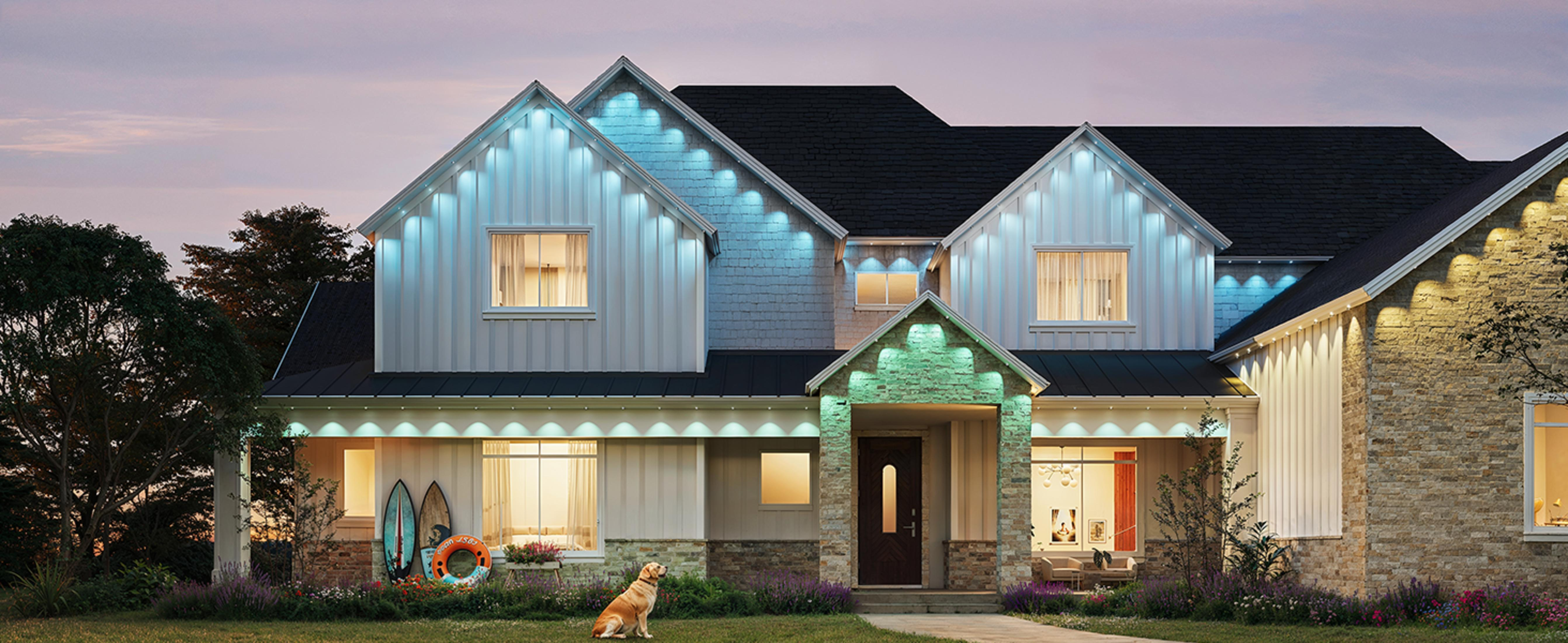 Pies siedzi przed domem z niebieskimi i zielonymi podświetlanymi szczytami i kamiennymi akcentami.