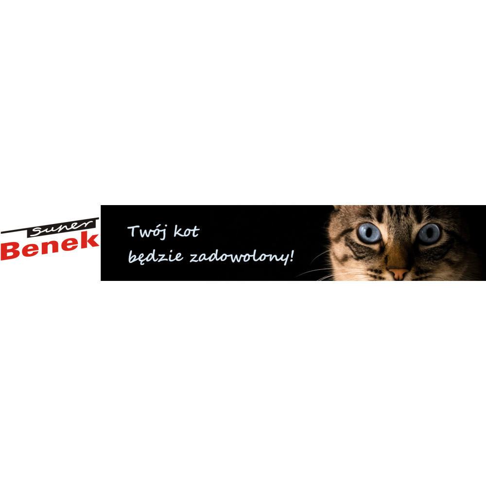 Logo 'Super Benek' i pyszczek kota z niebieskimi oczami.