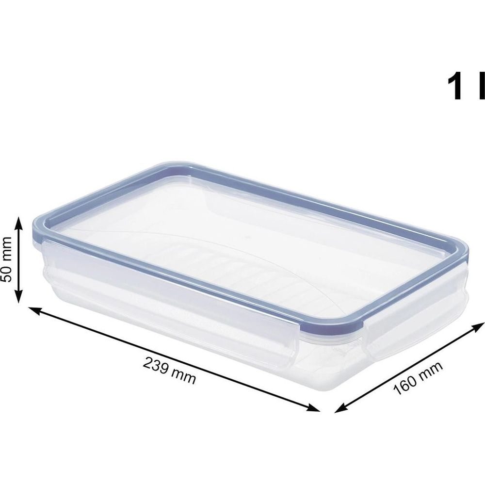 Contenitore alimentare in plastica trasparente con coperchio blu.