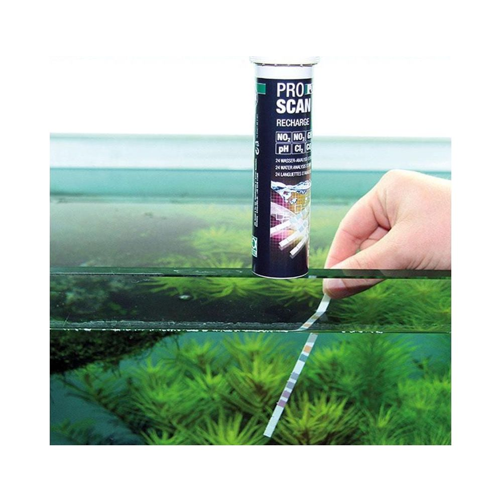 Hand taucht Teststreifen in Aquariumwasser. Oben: Produktverpackung.