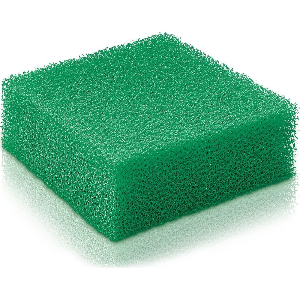 Una spugna verde con struttura a cellula aperta poggia su una superficie bianca.