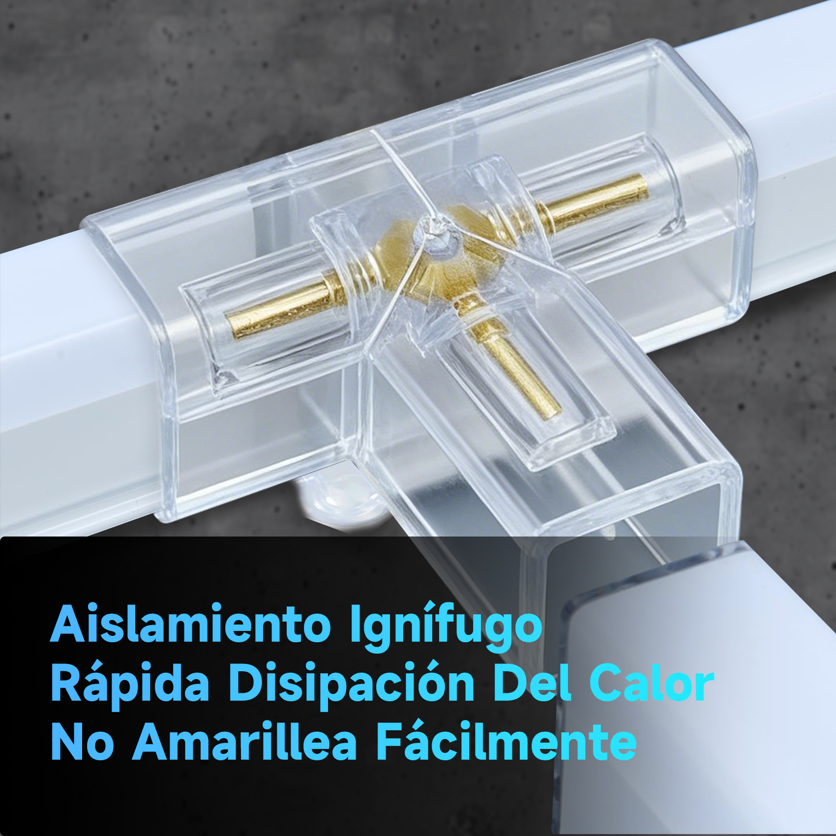 Conector transparente con contactos de latón en un riel blanco.
