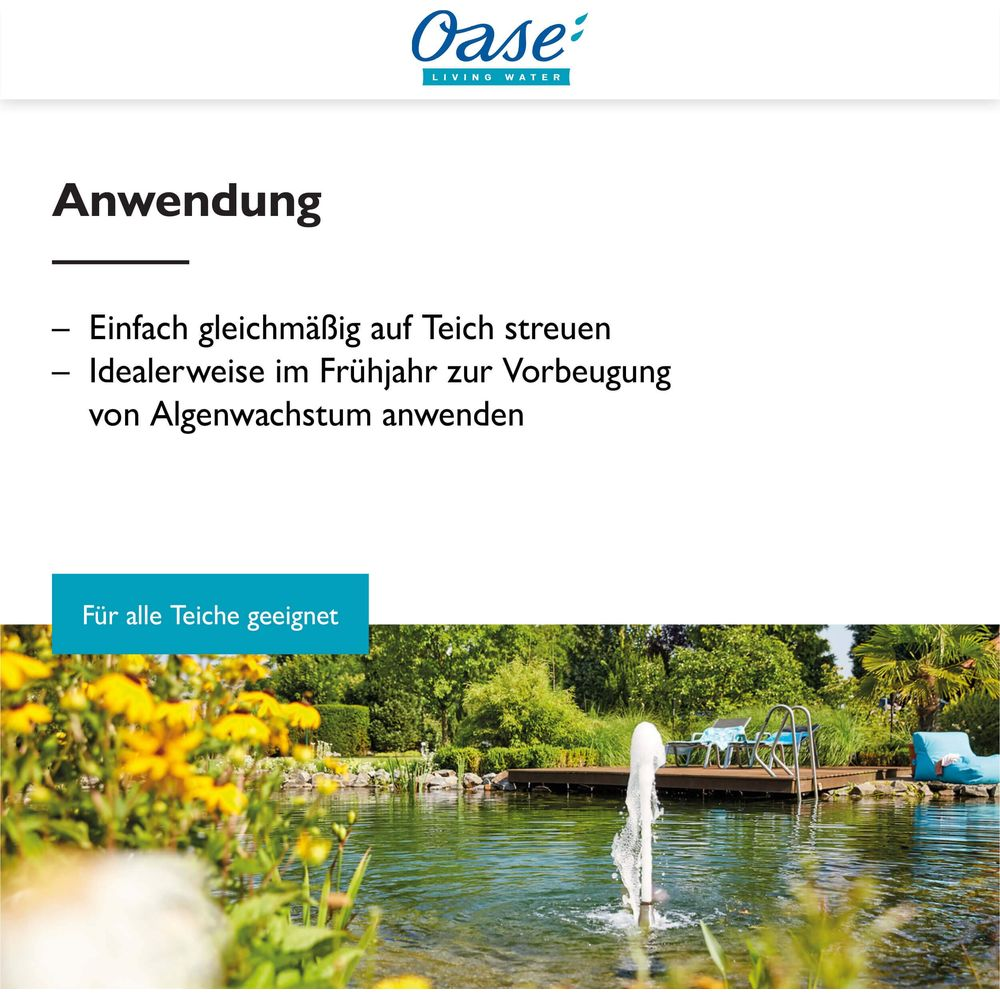 Ein Teich mit einem Brunnen, Holzdeck und Liegestühlen, umgeben von Grün.