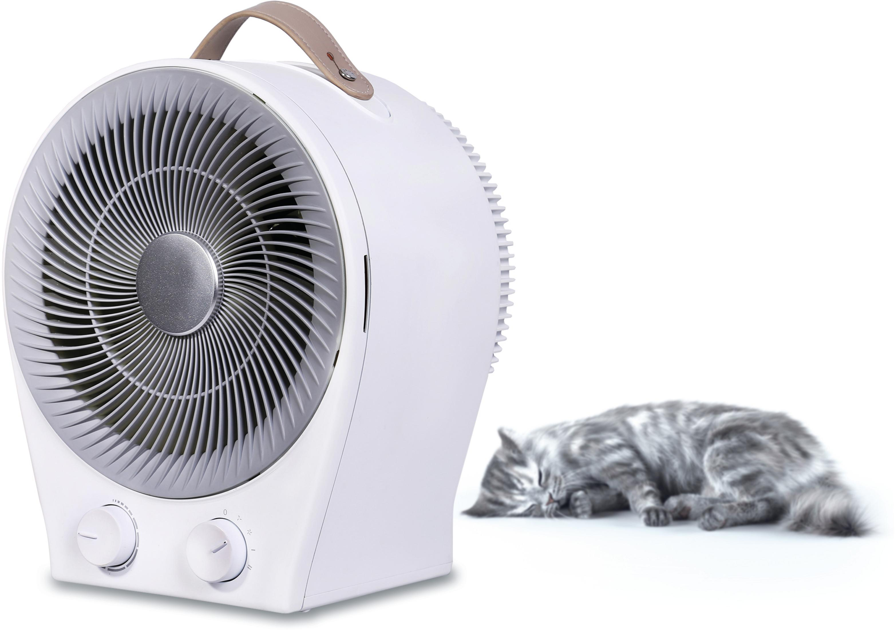 Ein weißer Ventilator mit grauen Lamellen und ein schlafende Katze.