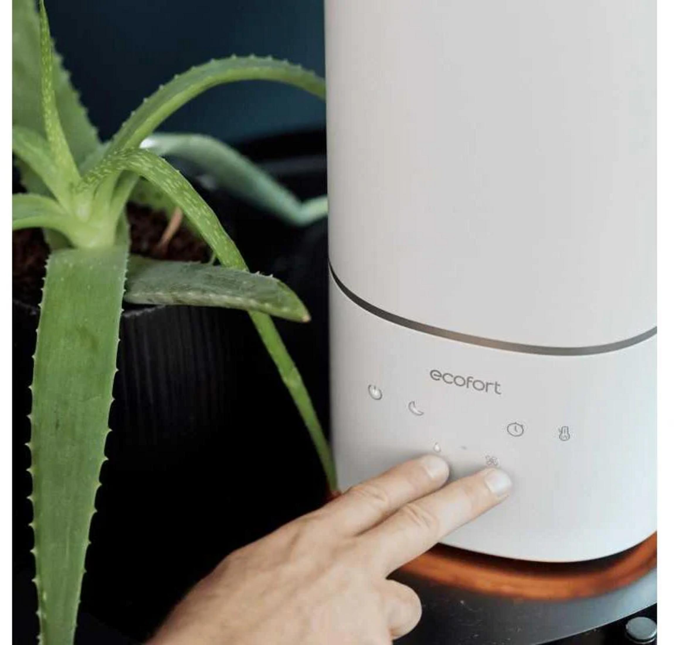 Una mano preme un pulsante su un umidificatore bianco accanto a una pianta di aloe vera.