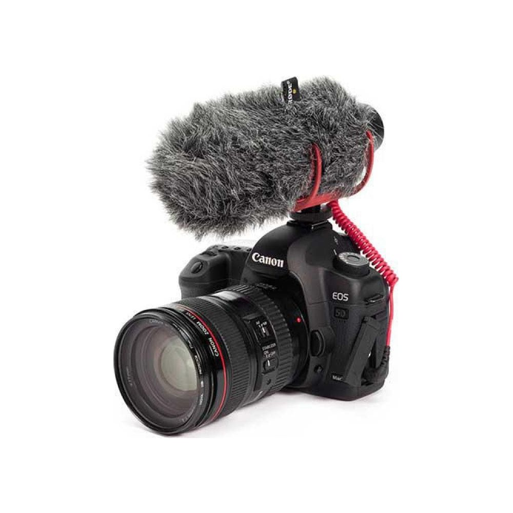 Un appareil photo Canon EOS 5D avec objectif et micro.