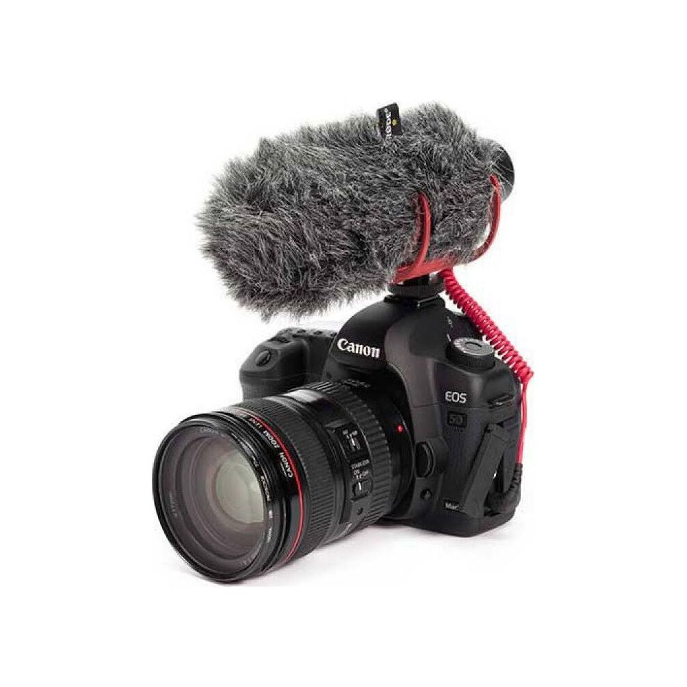 Un appareil photo Canon EOS 5D noir avec un microphone à bonnette et un objectif.