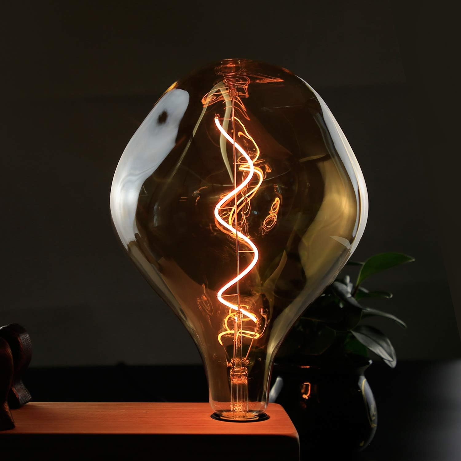 Eine beleuchtete, überdimensionale Edison-Glühbirne mit Spiralwendel auf Holzoberfläche. Hinten dunkle Pflanze.