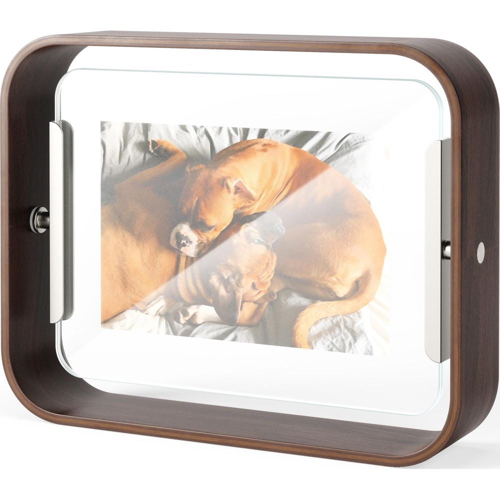 Un cadre en bois présente une photo de deux chiens bruns dormant sur une couverture grise.