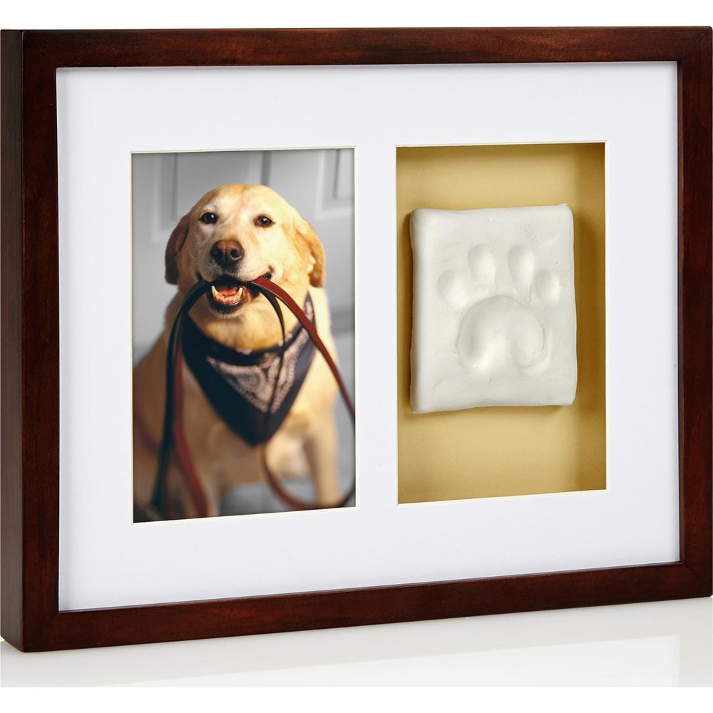 Un cadre photo présente un chien tenant une laisse et une empreinte de patte.