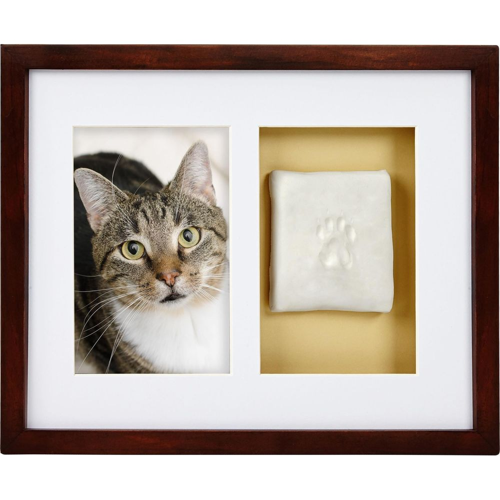 Une photo encadrée présente un chat et une empreinte de patte en plâtre.