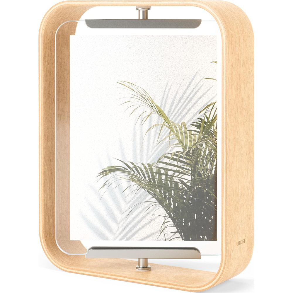 Un cadre en bois tenant une plante avec ses ombres sur fond blanc.