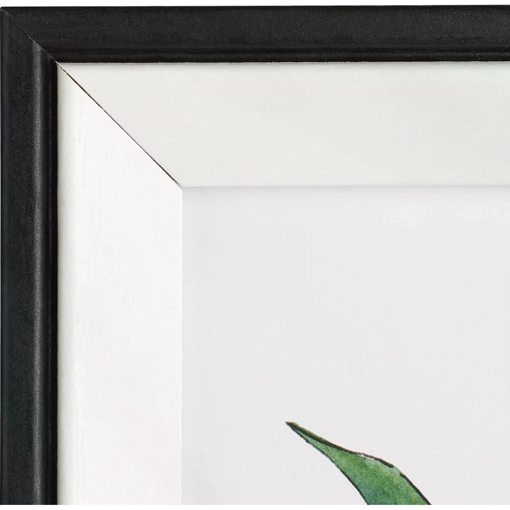 Ein schwarzer Bilderrahmen mit einem weißen Passepartout und einem grünen Blatt.