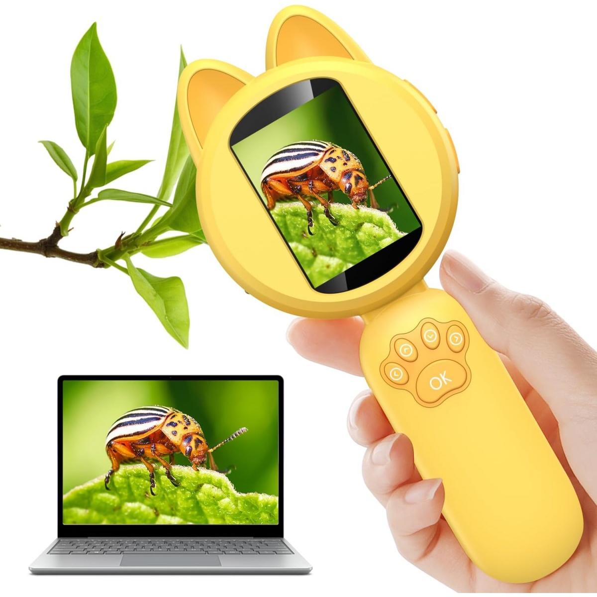Ein gelbes Käfer-Kamera-Spielzeug mit Bildschirm zeigt einen Käfer auf einem Blatt. Ein Laptop zeigt dasselbe.