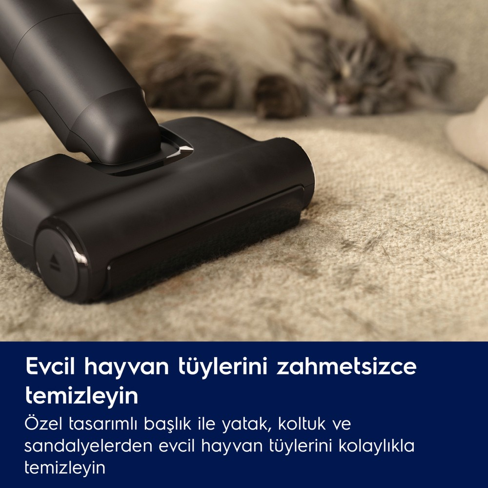 Una testina di aspirapolvere nera pulisce un tappeto, con un gatto sullo sfondo.