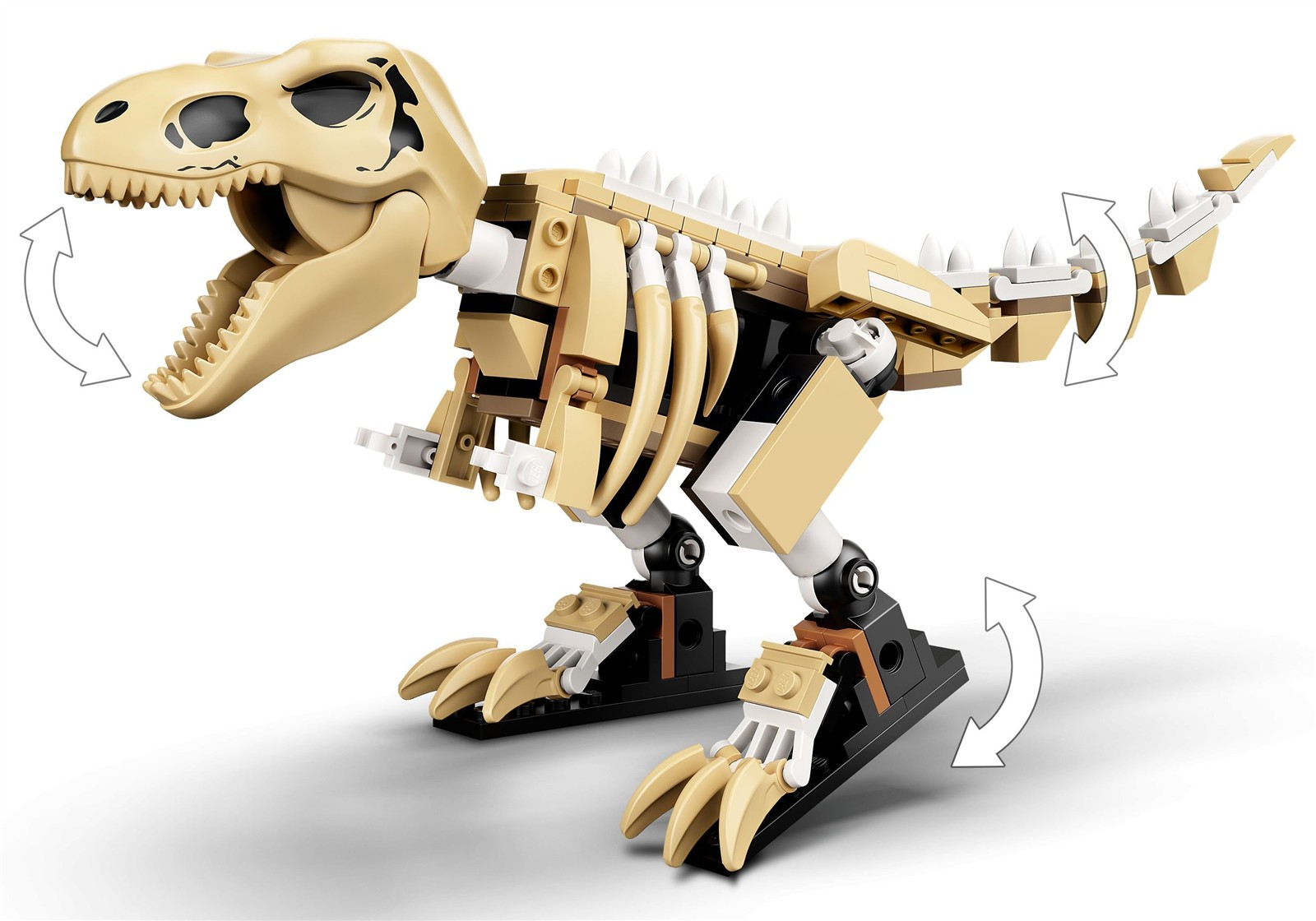 Ein beige Lego Dinosaurierskelett mit beweglichem Kiefer und Schwanz.